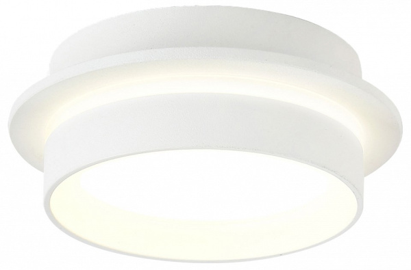 Накладной светильник Ambrella Light TN TN5383