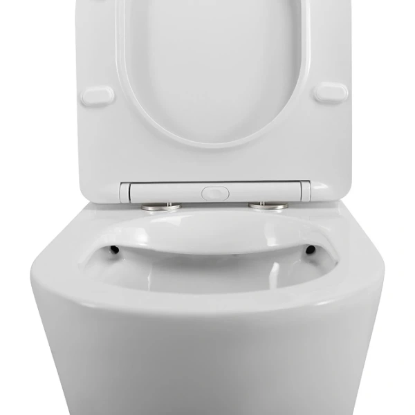 Унитаз напольный BelBagno Flay-R BB2149CPR/SC безободковый, без бачка, с сиденьем микролифт, белый