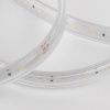 Лента светодиодная Elektrostandard LS014 220V a053638