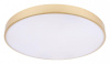 Накладной светильник Loft it Flims 10228/B