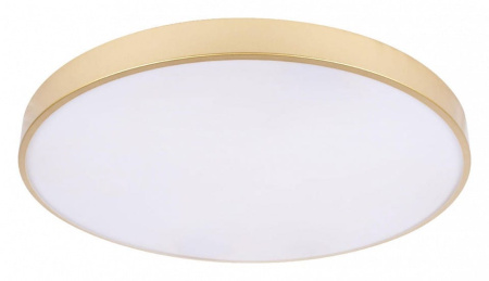 Накладной светильник Loft it Flims 10228/B
