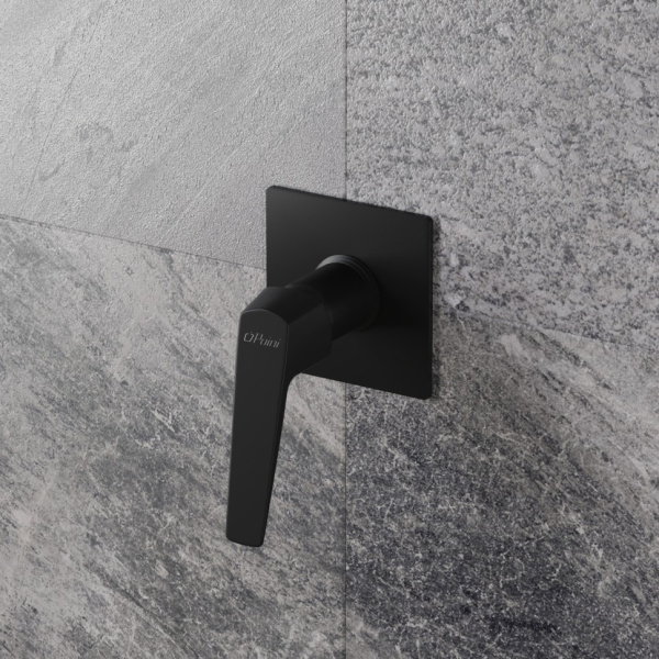 Смеситель для душа Paini Bari RTYO690 черный матовый