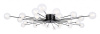 Потолочная люстра Freya Celebrity FR5242CL-24B1
