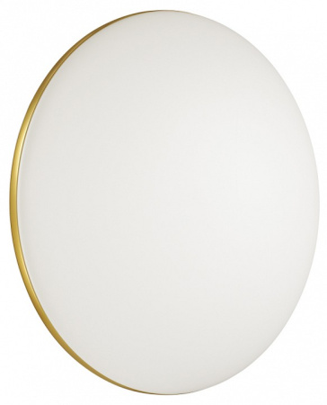 Накладной светильник Sonex Lassa 3043/EL