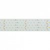 Лента светодиодная Arlight RT открытая 019081(2)