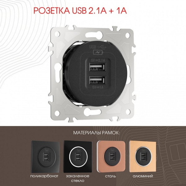 Розетка USB без рамки Arte Milano am-202 202.46-1.black