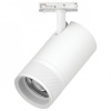Светильник на штанге Lightstar Canno Pro C4406SS
