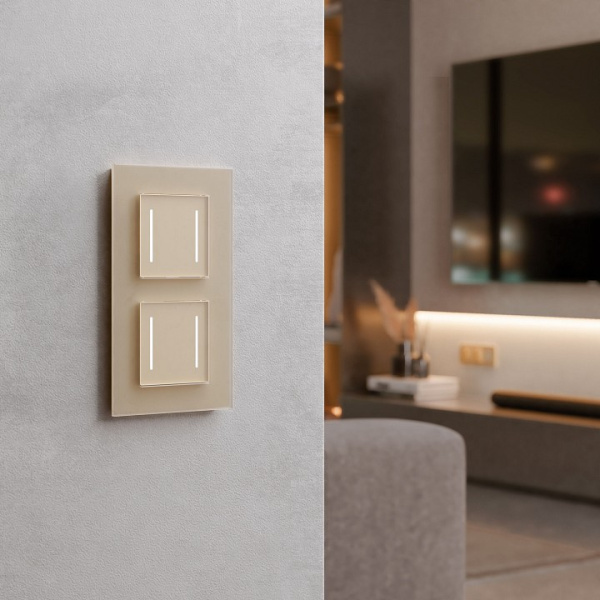 Выключатель сенсорый двухклавишный с подсветкой и функцией Wi-Fi без рамки Werkel шампань W4523011