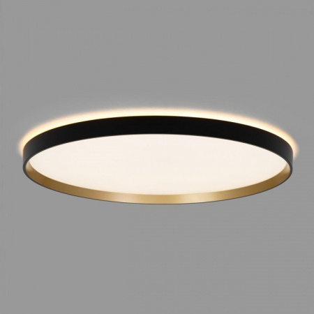 Накладной светильник Citilux ETALON CL750501R