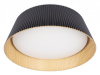 Накладной светильник Loft it Evans 10224 Black