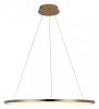 Подвесной светильник Loft it Ring 10014L