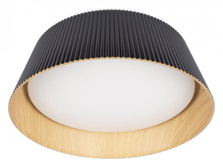 Накладной светильник Loft it Evans 10224 Black