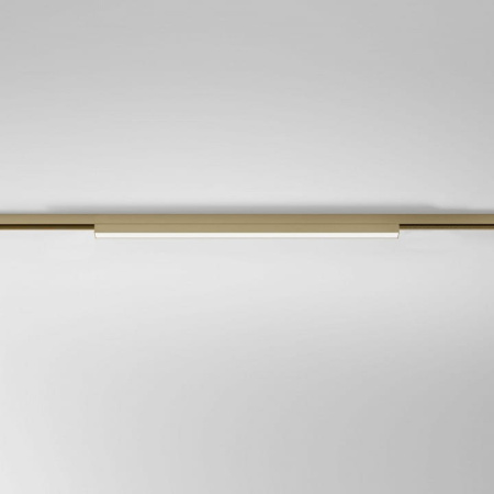 Накладной светильник Elektrostandard  85526/01