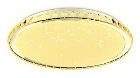 Накладной светильник Ambrella Light FF FF501