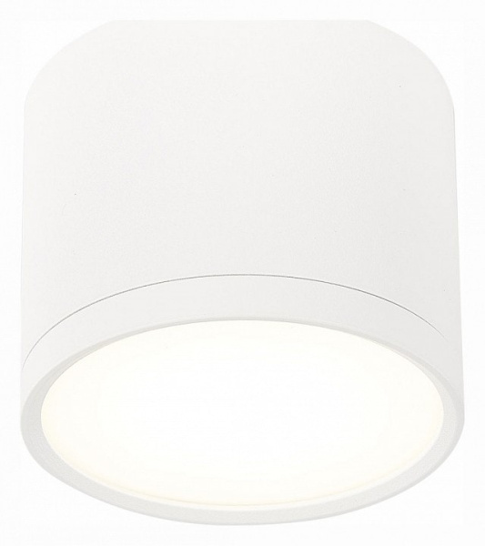 Накладной светильник ST-Luce Rene ST113.542.09