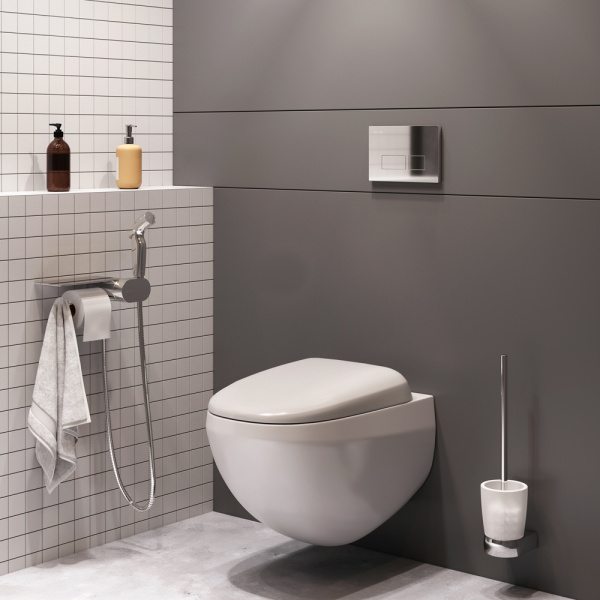 Подвесной унитаз AM.PM Sensation CK30H0904W с гигиеническим душем и аксессуарами