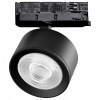 Светильник на штанге Lightstar Alta Pro A5547QT60G