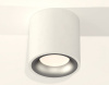 Накладной светильник Ambrella Light XS XS7531023