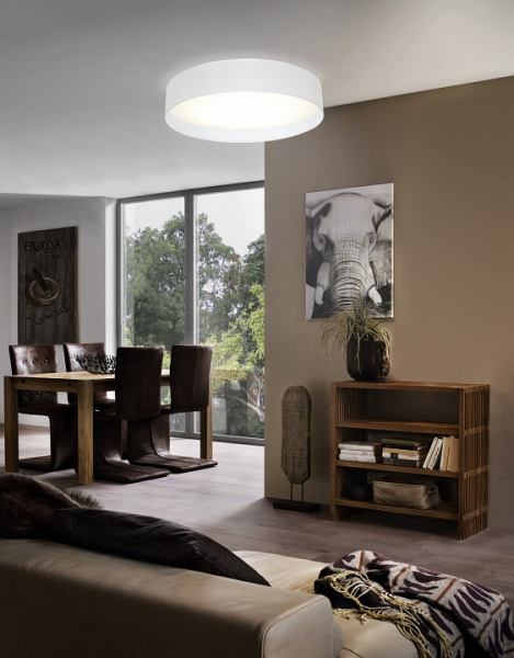 Накладной светильник Eglo Pasteri 31588