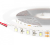 Лента светодиодная ELFLED  ELF-300SMD2835NWw6500-u
