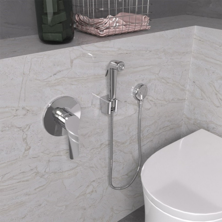 Гигиенический душ со смесителем Paini Arona ARCR690/574 встраиваемый