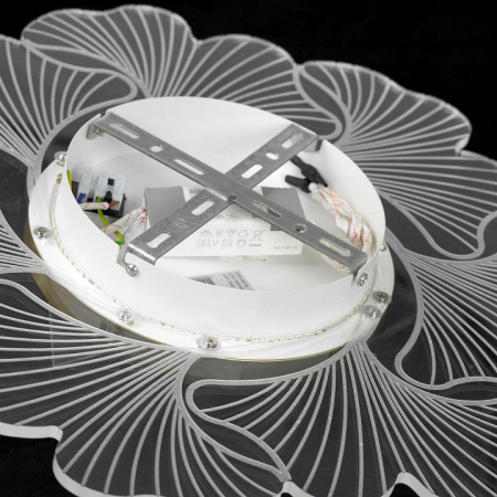 Накладной светильник Lussole Benton LSP-7340