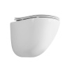 Подвесной унитаз BelBagno Amanda BB051CHR