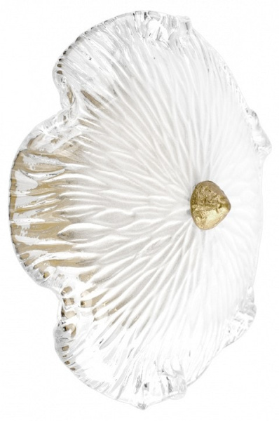 Накладной светильник Loft it Bloom 10352W/B AB