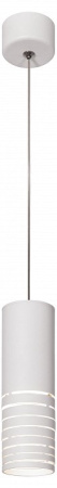 Подвесной светильник Эра PL22 WH Б0058507