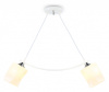 Подвесной светильник Ambrella Light TR TR303154