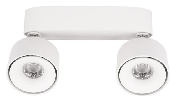 Спот Loft it Focus 10323/2A White