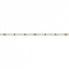 Лента светодиодная Arlight MICROLED 024410(2)
