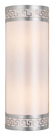 Накладной светильник Favourite Exortivus 4010-2W