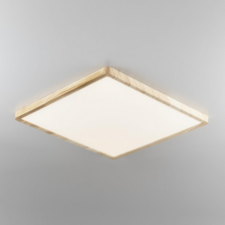 Накладной светильник Citilux Бейсик CL738K502V