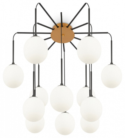 Потолочная люстра Maytoni Branch MOD176PL-12G