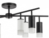 Люстра на штанге Lightstar Rullo LR7283743641