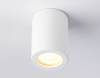 Накладной светильник Ambrella Light TN TN22797