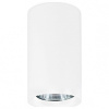 Накладной светильник Ambrella Light TN TN213133