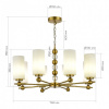 Подвесная люстра ST-Luce AURORA SL2003.303.08