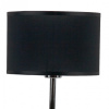 Настольная лампа декоративная Lighthall Blaze LH012115