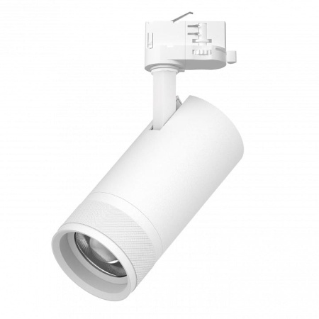 Светильник на штанге Lightstar Canno Pro C4306QT