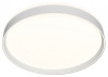 Накладной светильник Denkirs PLATO DK6510-WH