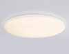 Накладной светильник Ambrella Light FZ FZ2003