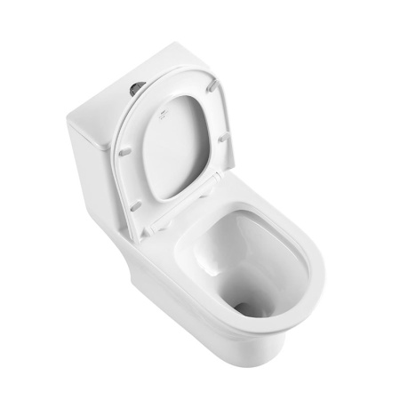 Унитаз-моноблок BelBagno Lounge BB8618CPR-MN/SC