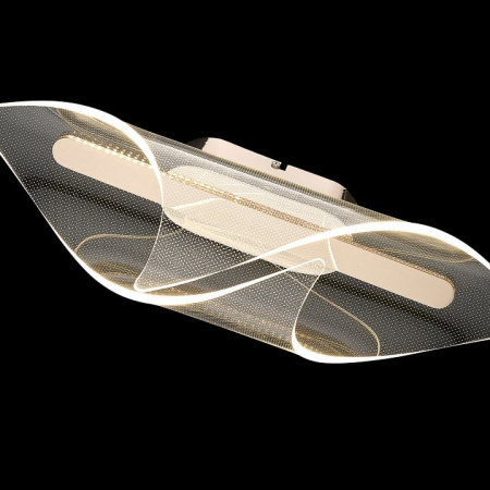 Накладной светильник Wertmark Helga WE447.01.301