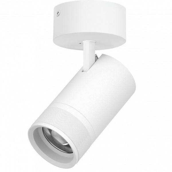 Спот Lightstar Canno Pro C4406SO