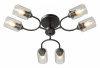 Потолочная люстра Vitaluce V2822 V2822-1/6PL