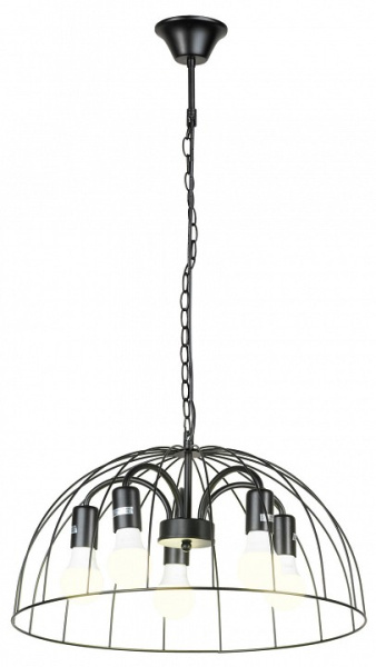 Подвесная люстра Lussole Lattice 1 GRLSP-8216