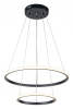 Подвесной светильник Escada Euler 10228/2LED
