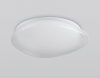 Накладной светильник Ambrella Light ORBITAL FZ1601
